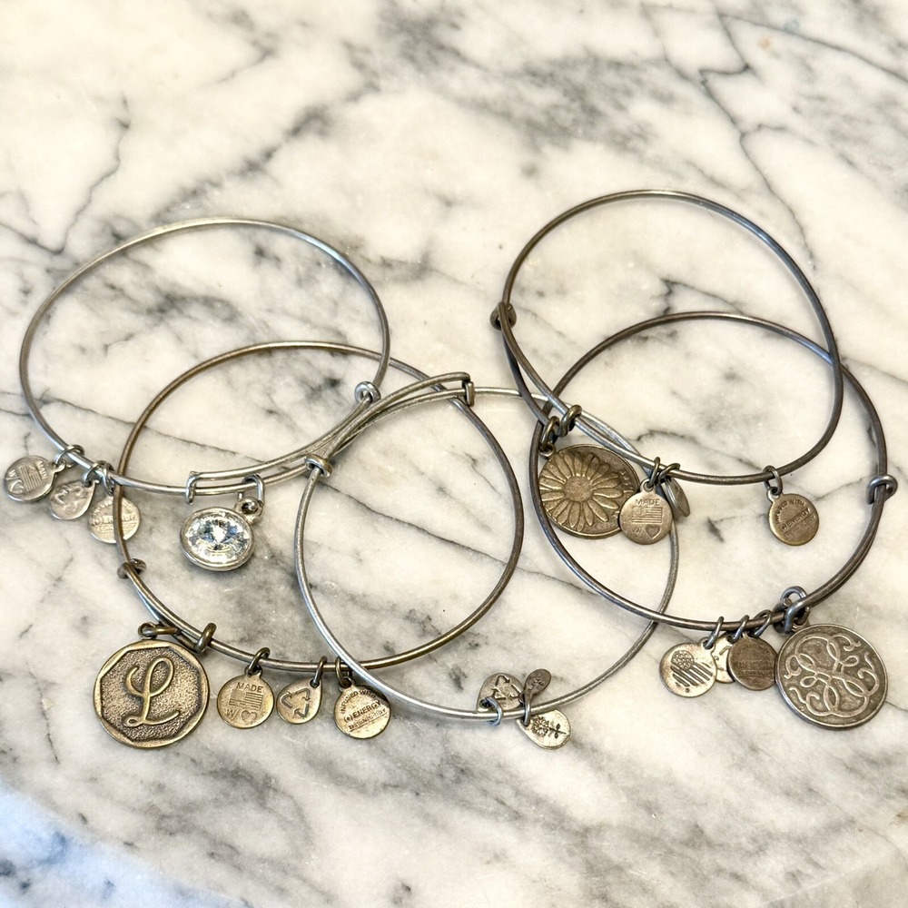5pc VTG Alex And‎ Ani Charm Bangle L Bracelet + Energy Technology Copper Silver